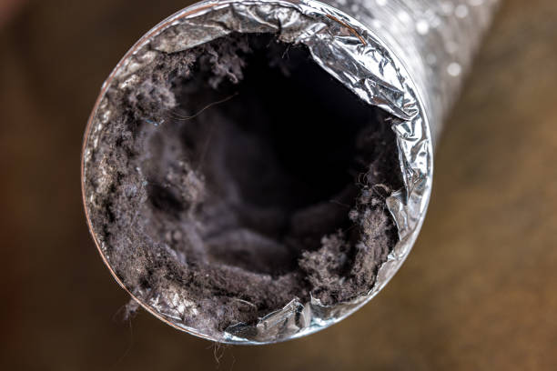 Best Duct Cleaning for Homes  in Timonium, MD