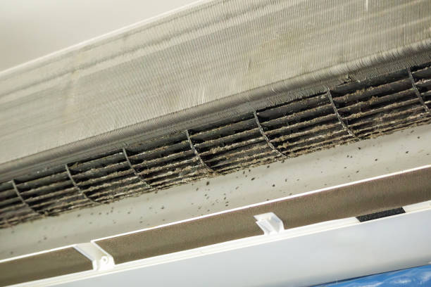 Best Air Duct Cleaning Near Me  in Timonium, MD